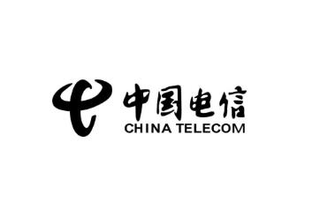 中國電信部門調(diào)整！設(shè)立網(wǎng)絡(luò)和信息安全管理部